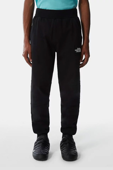 THE NORTH FACE PANT M FINE 2
