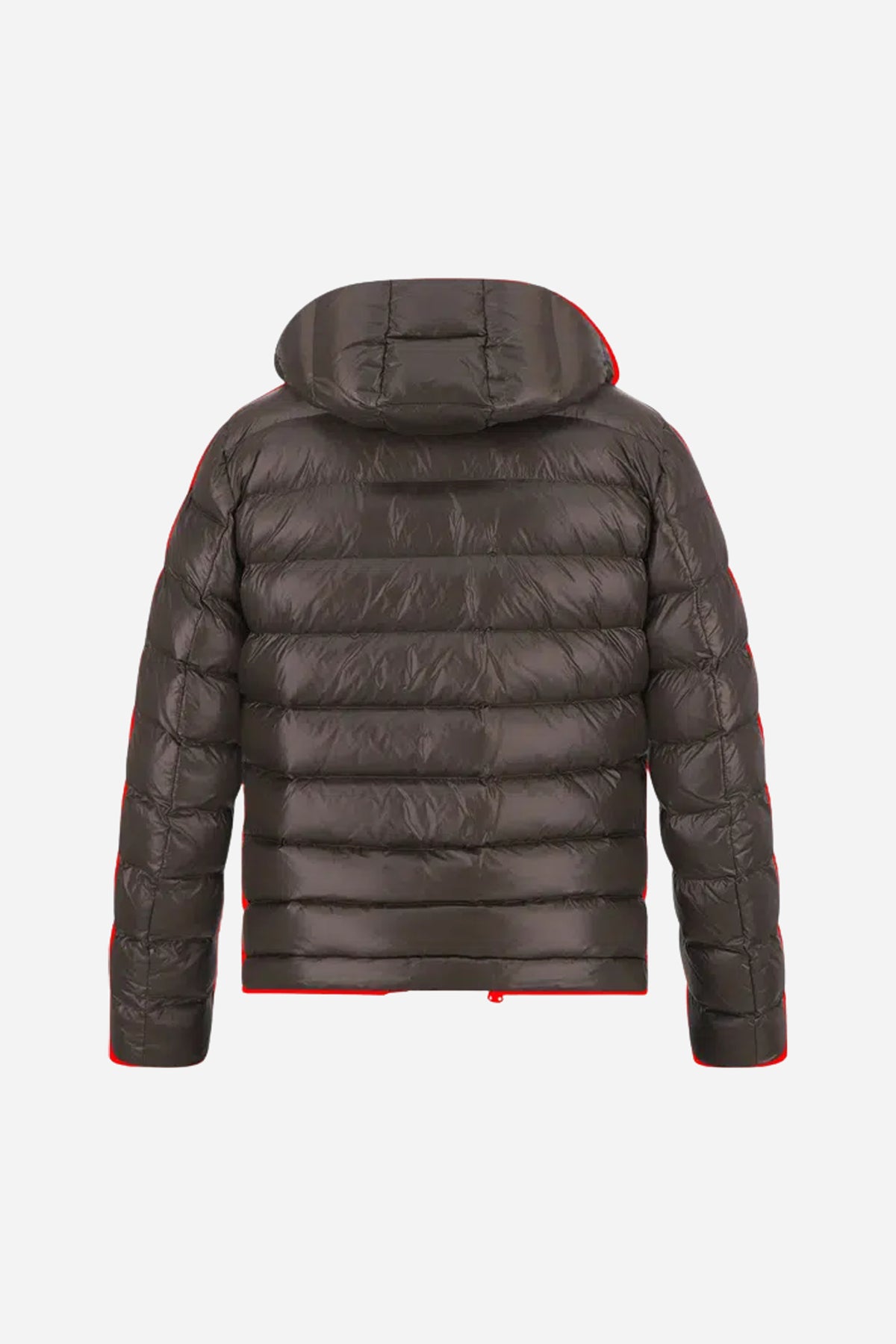Giacca trapuntata Blauer in nylon Sorona - Marrone scuro-Beige